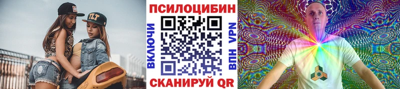 Псилоцибиновые грибы Psilocybe Карпинск